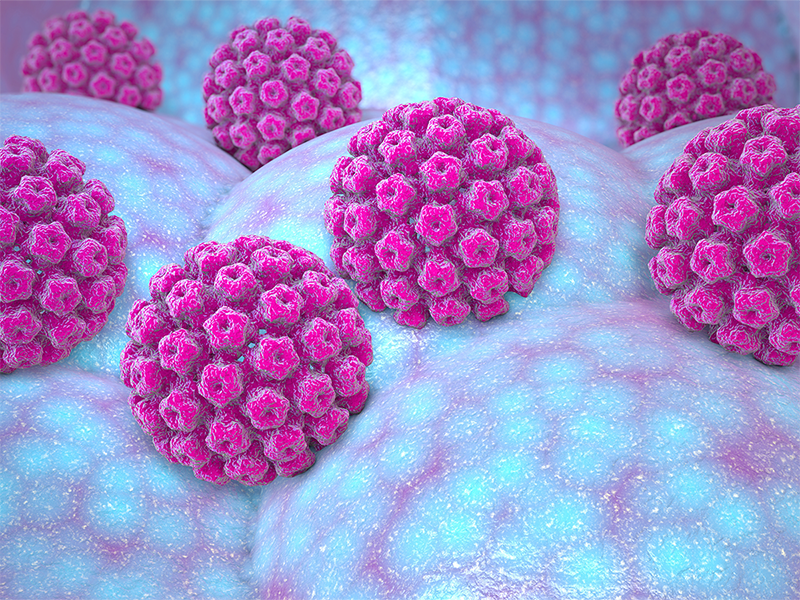 Virus Human Papillomavirus (HPV)