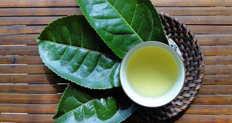 Cách chữa viêm bao quy đầu bằng lá trà xanh