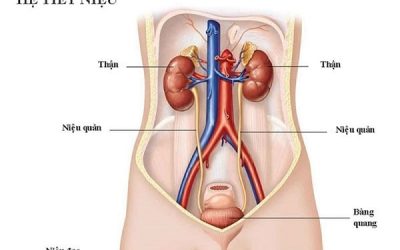 [Top 9+] Cách chữa tiểu buốt ra máu tại nhà an toàn, đơn giản