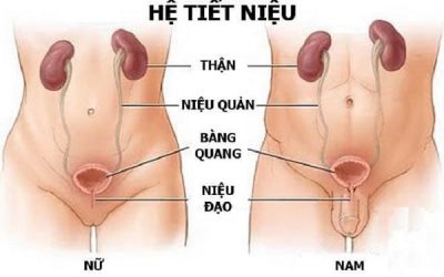 Đi tiểu buốt là bệnh gì và cách điều trị hiệu quả hiện nay